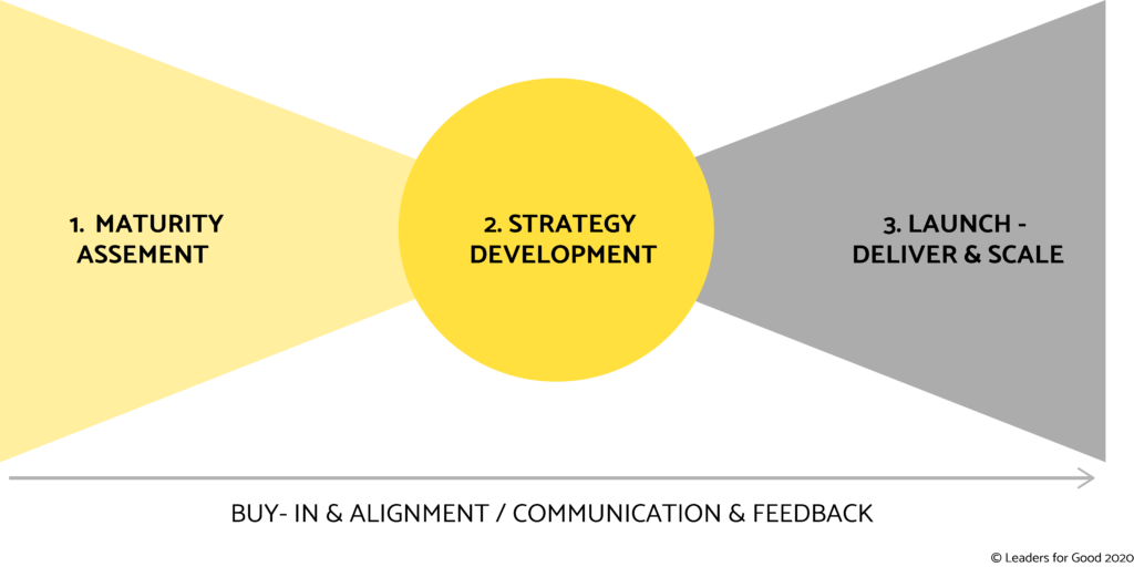 Strategic Framework